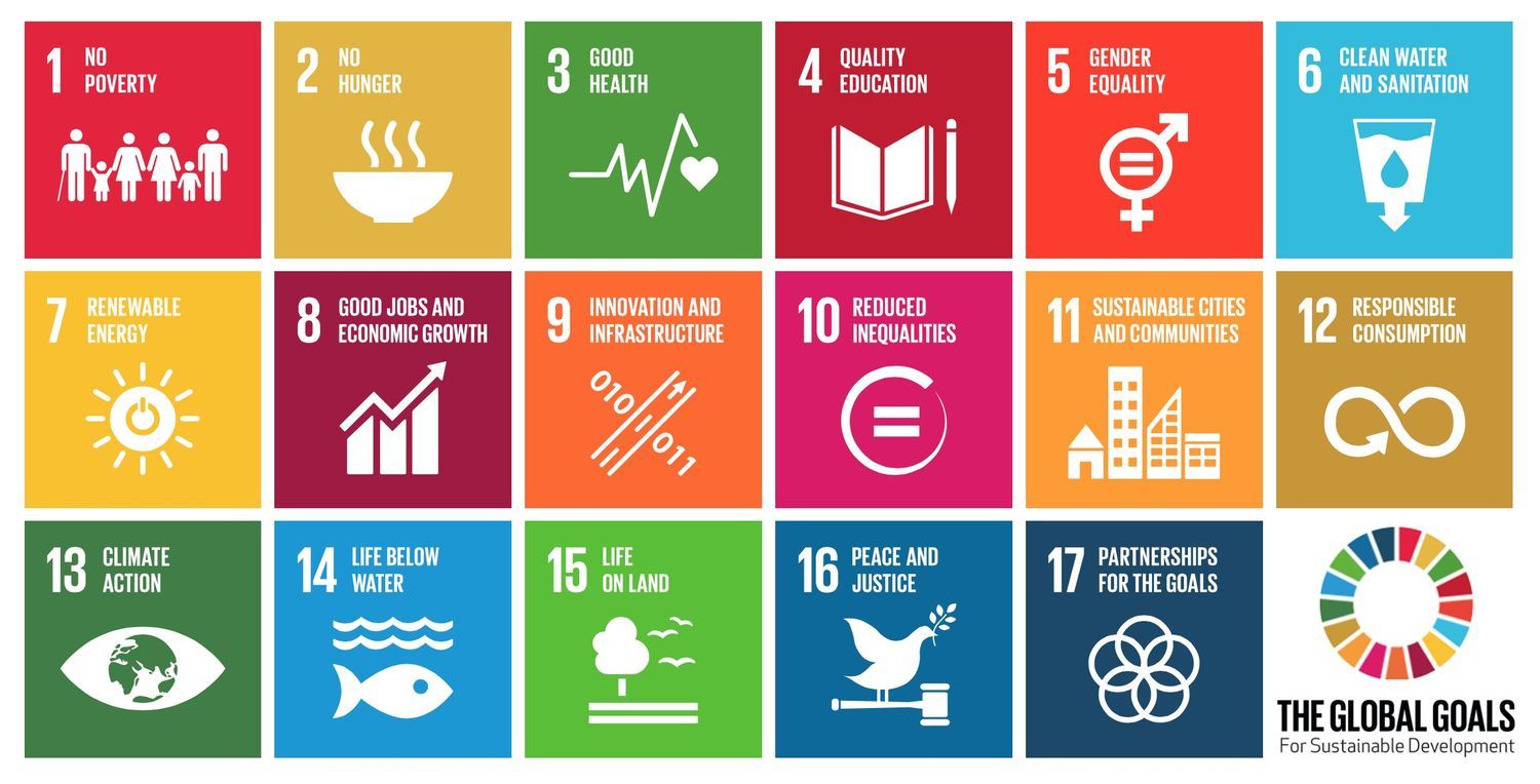 17 UN development goals