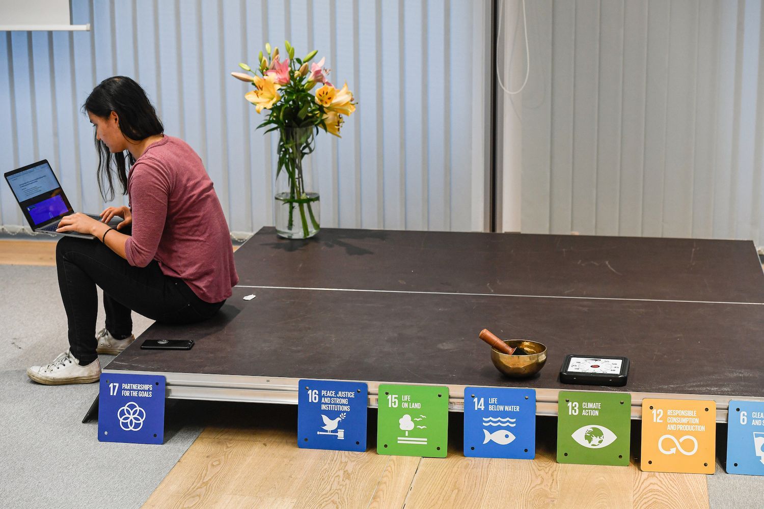 Hackathon participant and Sustainable Development Goals